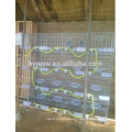 agriculture animal pigeon cage with Nests and Water Drinkers and Stand Box